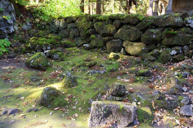 周辺の苔も心地よい。