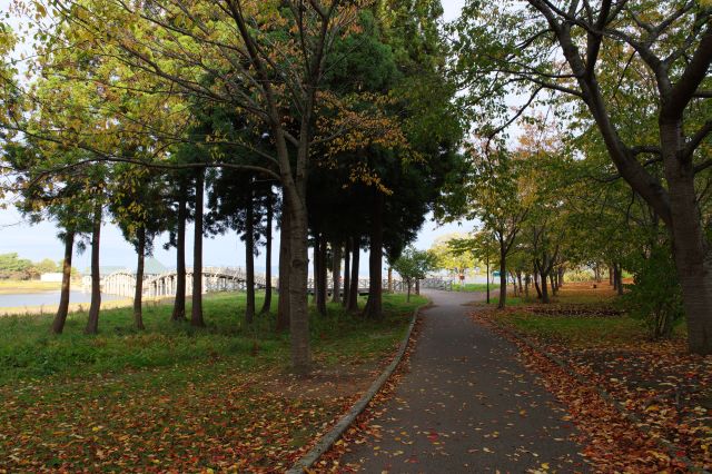 公園は風がゆする葉の音が心地よい。