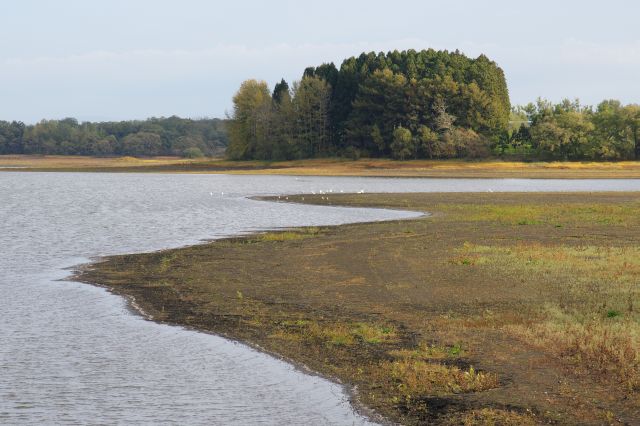 奥には鳥の姿。鳥の声も聞こえ鳥の居る湖という感じ。