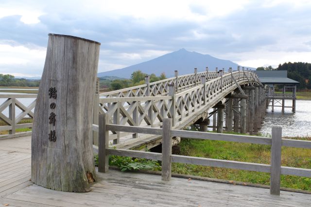 振り返ると岩木山。