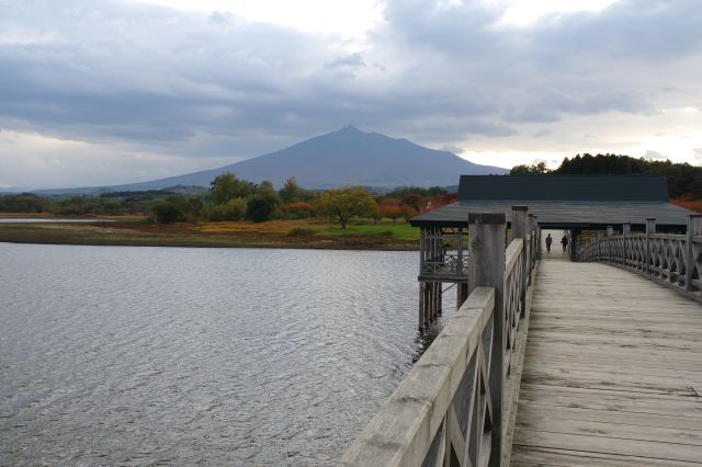 段々大きくなる背後の岩木山。