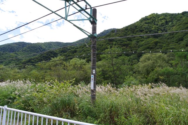 架線柱は離れた所に、反対側にもホームがあった痕跡。