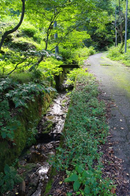 急な坂道を登る。脇の水路の水が心地よい。