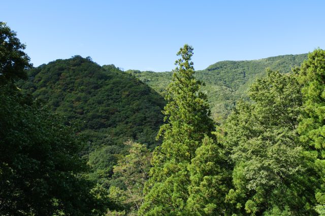 豊かな緑の自然に囲まれた遺構。