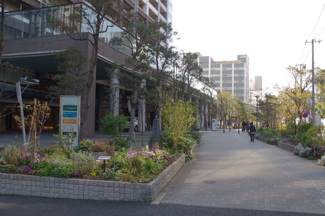 タワーマンションの足元の歩道。