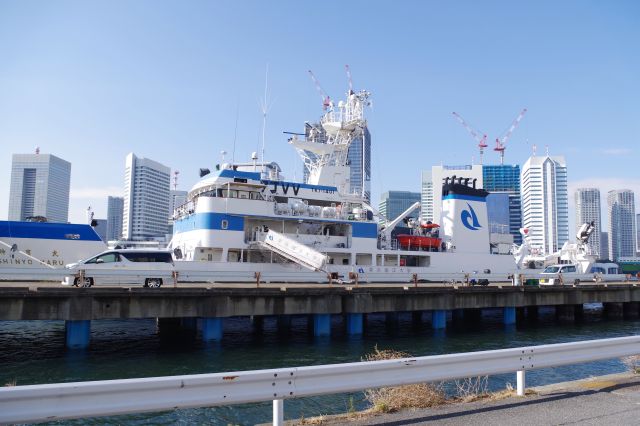 埠頭には船が停泊。埠頭は立ち入り禁止です。