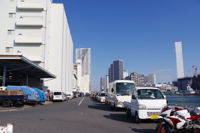 岸壁沿いの道を進んで行きます。