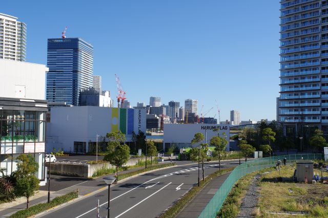 晴海埠頭内はかつて線路が通っていました。奥は豊洲、東雲方面。