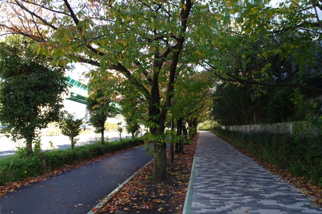 春海橋、晴海橋梁へ向かいます。線路跡に並行する歩道。