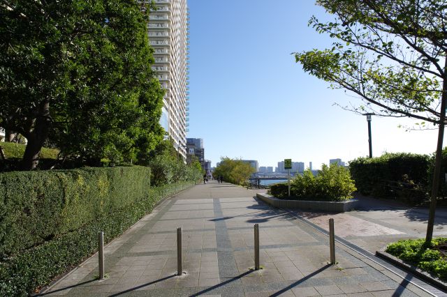 南側の運河沿いは春海橋公園。