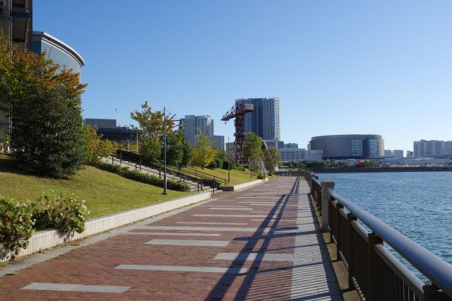 ららぽーと付近へ。公園の北側は長い直線。走る人、散歩する人などがいます。