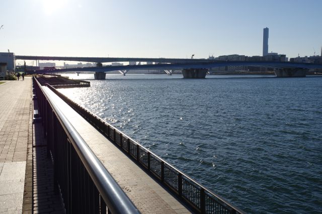 奥には晴海大橋。