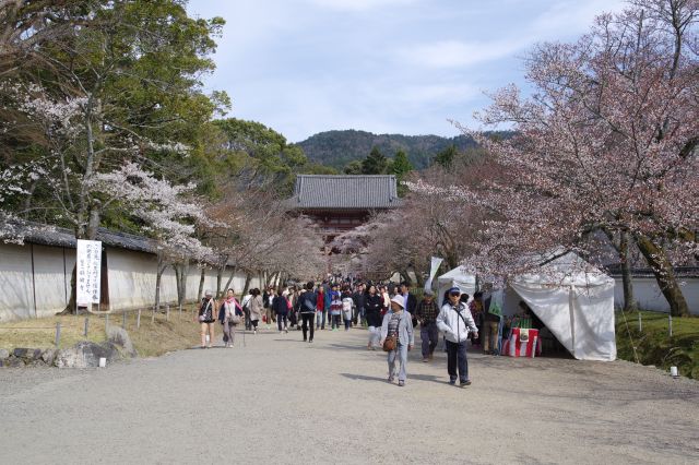 沢山の人が行き交う桜馬場。