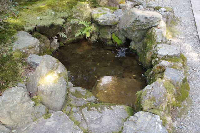 祖師堂前の池。水の音が心地よい。