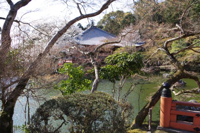 寿庵前、小庭園風。