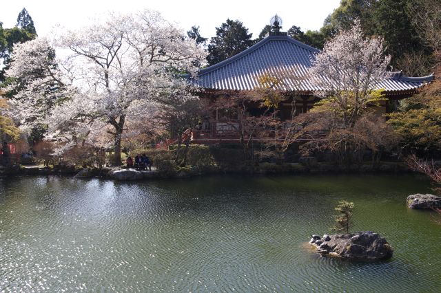 きれいに整備された庭園風景に癒される。