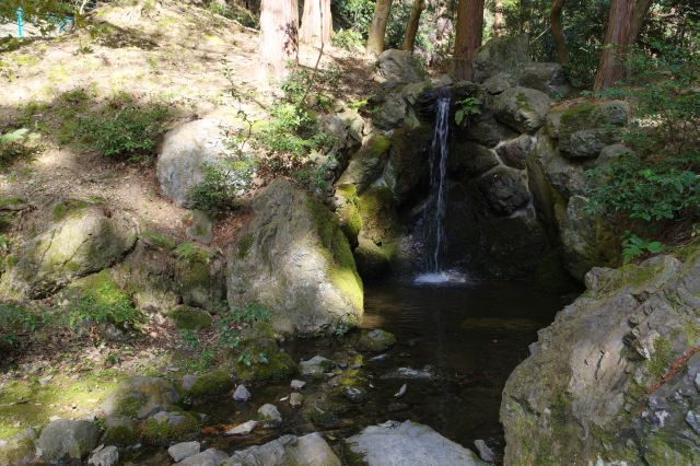 突き当りにはまた小滝。下醍醐の一番奥です。