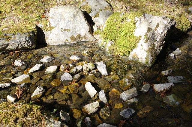 小川の水はきれい。