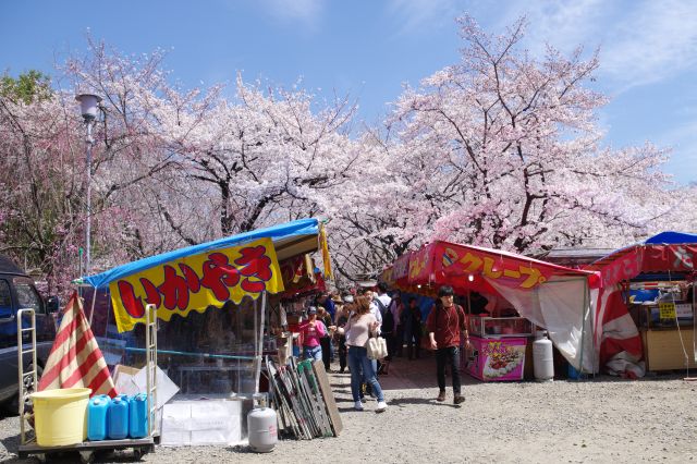 屋台の上のきれいな桜のアーチ。沢山の人でにぎわいます。