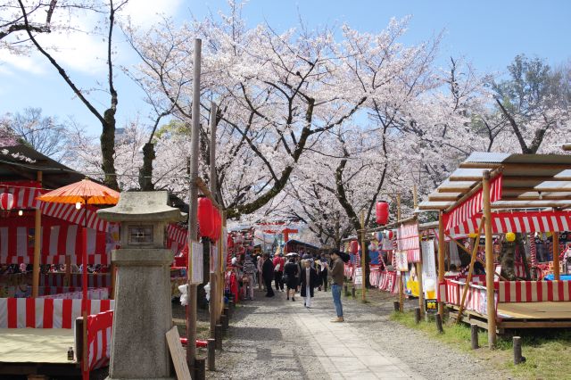 大賑わいの境内。お店から良い香りが漂います。