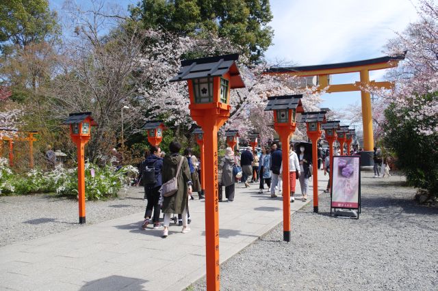 東側の鳥居へは灯篭が並ぶ。