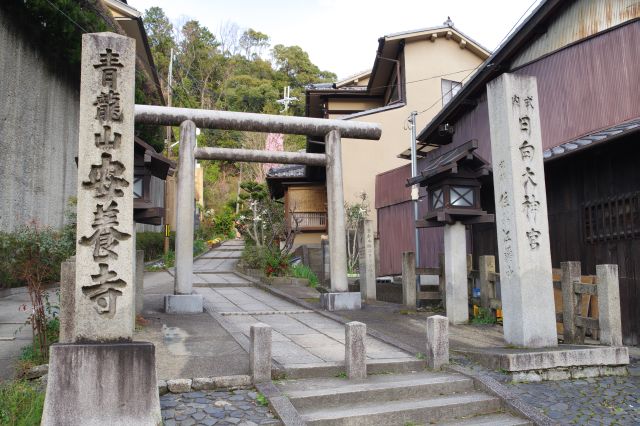 地下鉄東西線蹴上駅から坂を上がり鳥居をくぐります。