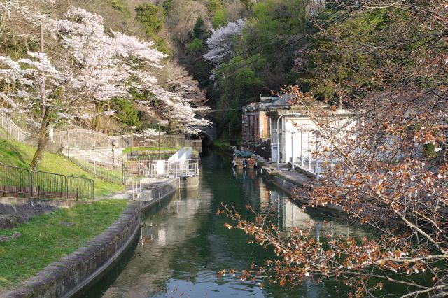 インクラインの頂上に出ます。水路の琵琶湖方面。