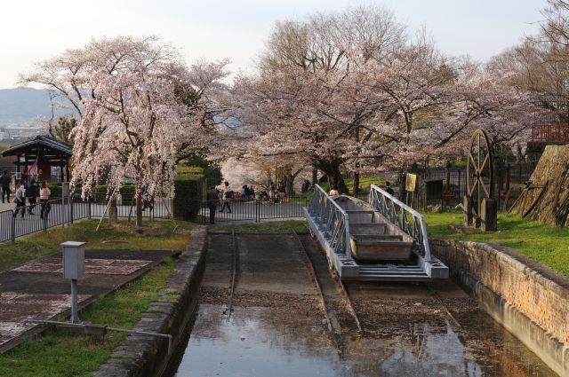 蹴上インクラインの桜の写真ページへ