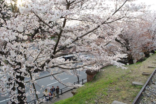 すぐ横の下は道路で車の音が聞こえます。柵などもないですが腰掛ける人も。