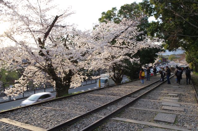 インクラインの方が傾斜があり、道路が大分近づいてきました。