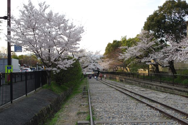 ここからは道路より下に下ります。