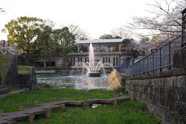 橋の先は水路が白川に合流して広がり、噴水があります。