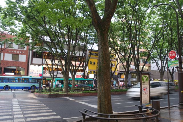 定禅寺通市役所前バス停付近。繁華街で車通りが多い大通りの定禅寺通。