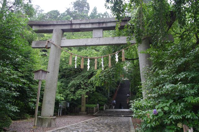 石鳥居の二之鳥居の先は緑あふれる静かな別世界。