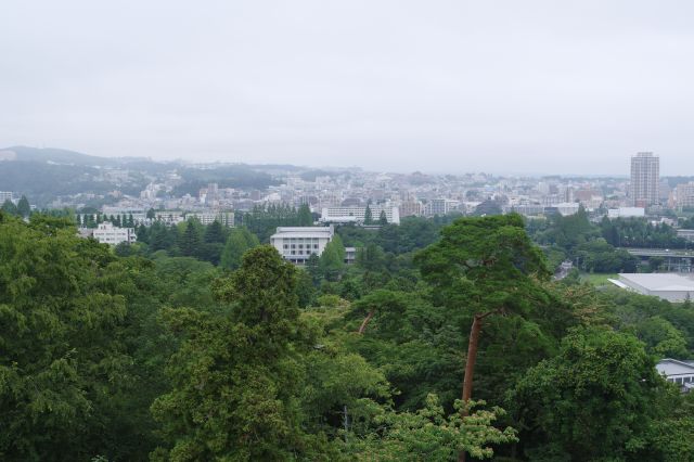 北北西側、二の丸に東北大学川内キャンパス。