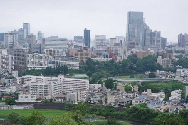 広瀬川の蛇行部。