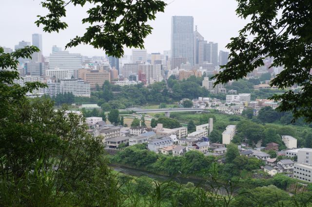 懸造跡付近より。右側の先に伊達政宗の霊廟の瑞鳳殿があります。