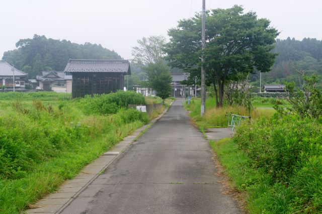 小路を進みます。