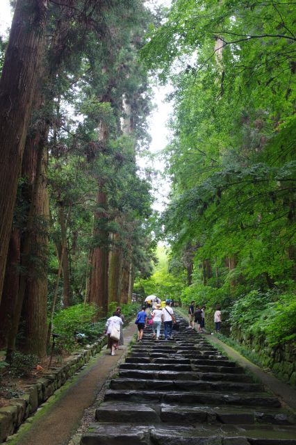 高木の林の中の石段はちょっと疲れます。