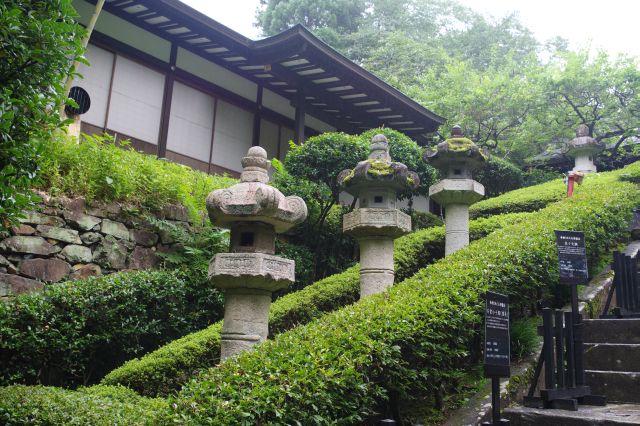 瑞鳳殿への階段、苔の生えた灯篭。