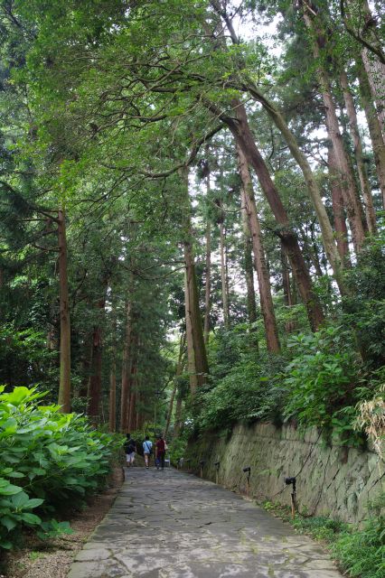 林の道を通り、感仙殿、善応殿、妙雲界廟へ。