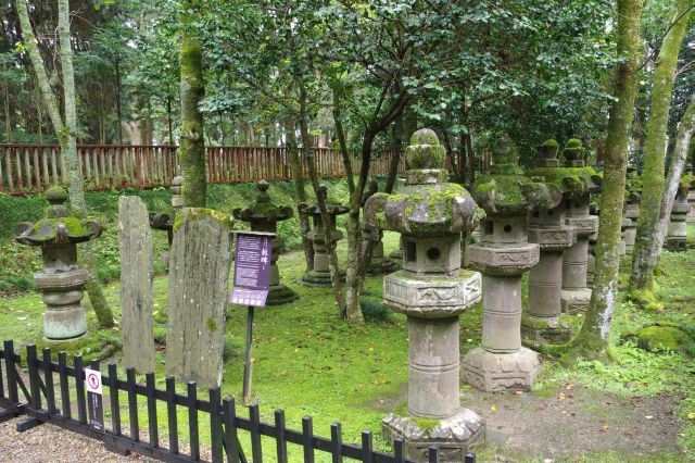 苔の生えた灯篭が並びます。