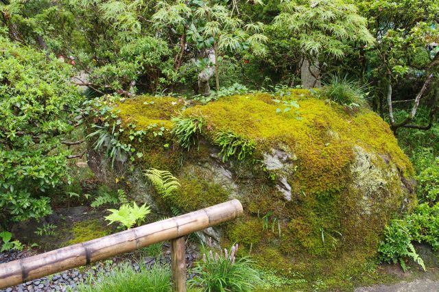 苔をまとった岩も風情。