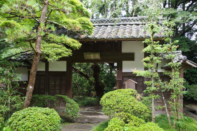 左側に庭園のような小路の先に高尾門。