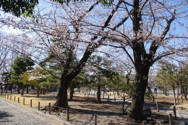 公園のように気持ち良い二ノ丸。