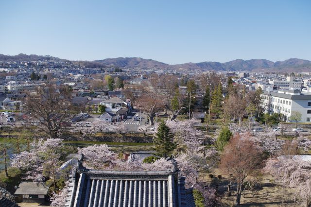 北側の風景。城内は桜がひしめきます。