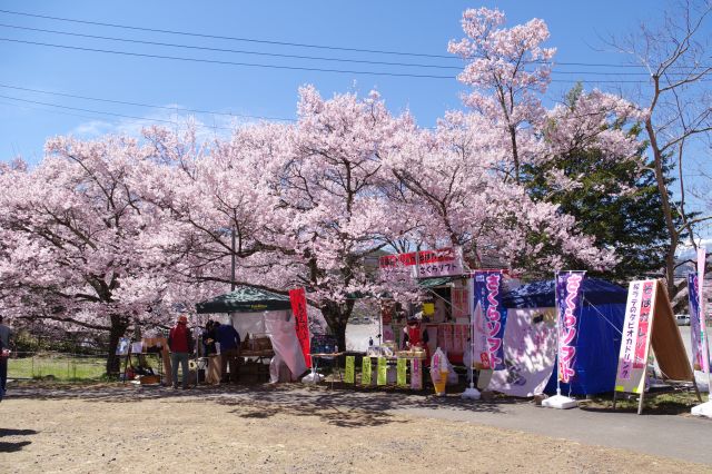 さくらソフトなどの出店があります。