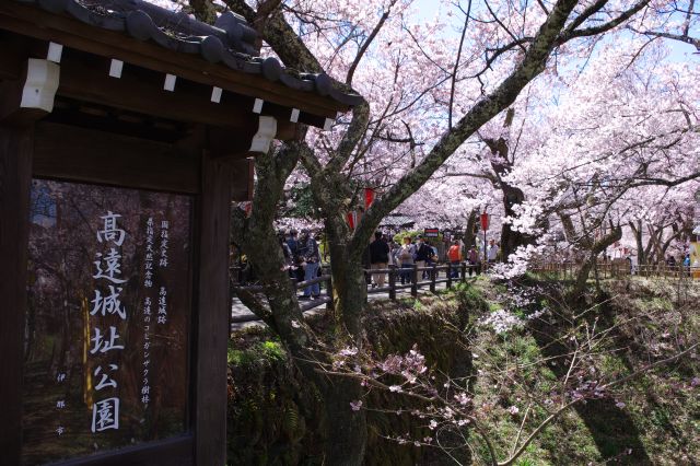 道路沿いを歩き北ゲートへ。ここからがメインの公園です。