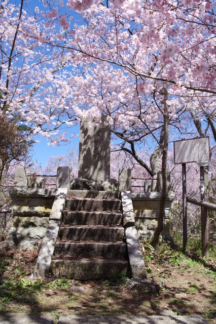 右側に高遠公園の碑があります。