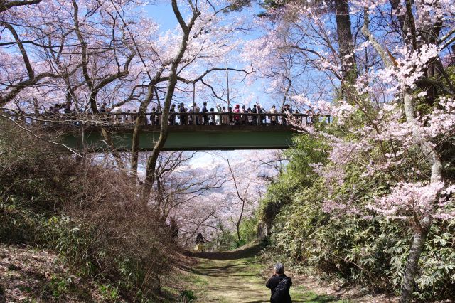 南側の堀へ、白兎橋には沢山の人。